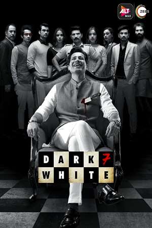 Dark 7 White (2020) Season 1 Hindi Complete ZEE5 WEB Series 480p - 720p WEB-DL poster
