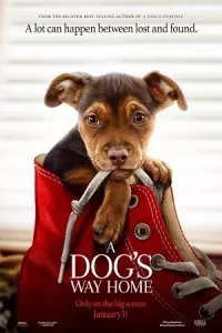 A Dog’s Way Home (2019) poster