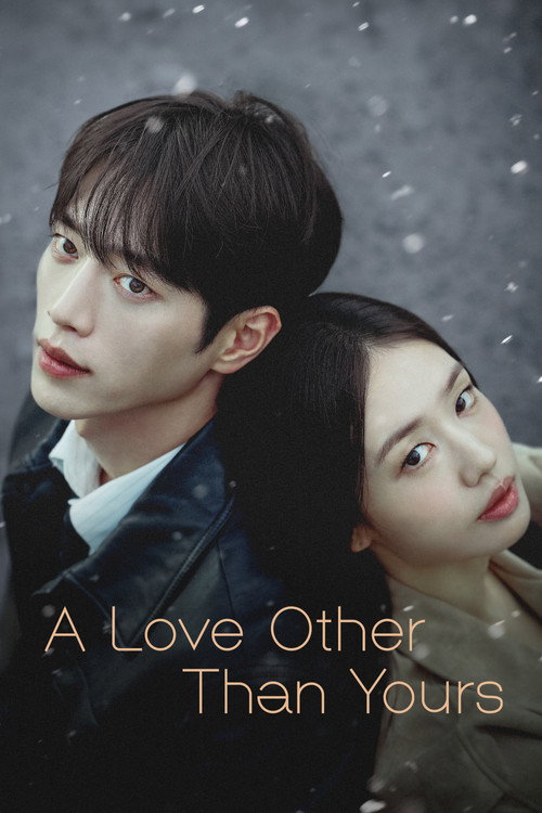 A Love Other Than Yours (Season 1) [S01E08 Added] {Hindi-English-Korean} K-Drama Series 480p 720p & 1080p WEB-DL poster