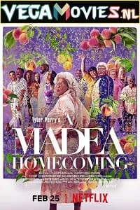 A Madea Homecoming (2022) Dual Audio {Hindi-English} 480p - 720p - 1080p poster