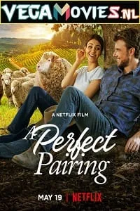 A Perfect Pairing (2022) poster