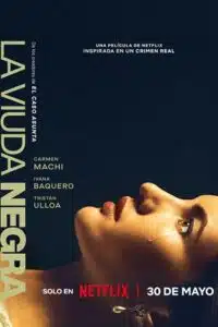 A Widow’s Game (2025) poster