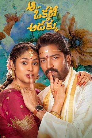 Aa Okkati Adakku (2024) Dual Audio [Hindi + Telugu] WeB-DL 480p - 720p - 1080p poster