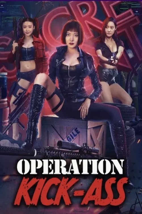 Action team overlord flower (2022) Dual Audio {Hindi-Chinese} WEB-DL 480p - 720p - 1080p poster
