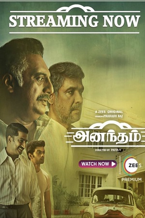 Anantham (2022) Season 1 Hindi Complete Zee5 Original WEB Series 480p - 720p - 1080p WEB-DL poster