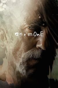 Anemone (2025) WEB-Rip Dual Audio {Hindi-English} 480p - 720p - 1080p poster