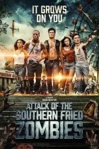 Attack of the Southern Fried Zombies (2017) Dual Audio {Hindi-English} 480p - 720p poster