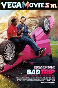 Bad Trip (2020) Dual Audio {Hindi-English} 480p - 720p - 1080p poster