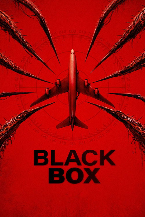 Black Box (2026) Dual Audio {Hindi-English} BluRay 480p - 720p - 1080p poster