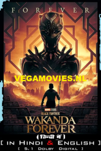 Black Panther: Wakanda Forever (2023) iMAX Dual Audio [Hindi DD5.1 – English] 480p - 720p - 1080p - 2160p poster