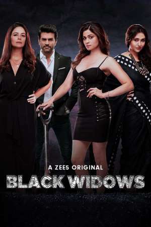 Black Widows (2020) Season 1 Hindi ZEE5 Complete WEB Series 480p - 720p poster