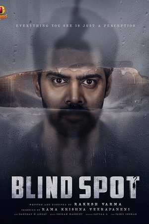 Blind Spot (2025) Hindi-DD5.1 (Multi-Audio) WeB-DL 480p - 720p - 1080p poster