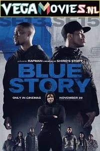 Blue Story (2019) Dual Audio [Hindi-English] WeB-DL 480p - 720p - 1080p poster