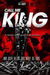 Call Me King (2017) WEB-DL Dual Audio {Hindi-English} 480p - 720p - 1080p poster