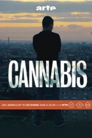Cannabis (2016) Season 1 Hindi Complete MX Original WEB Series 480p - 720p HDRip poster