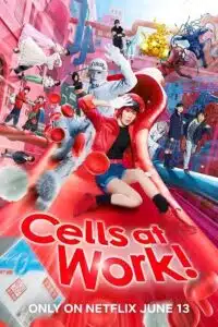 Cells at Work! (2024) WEB-DL {English With Subtitles} Full Movie 480p - 720p - 1080p poster