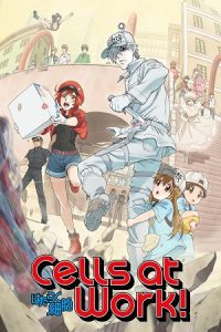 Cells at Work! (Season 1) Multi Audio {Hindi-English-Japanese} Anime Series 480p 720p & 1080p Blu-Ray poster