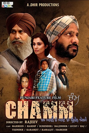 Chamm (2022) Punjabi Full Movie 480p - 720p - 1080p poster