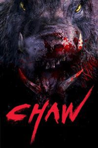 Chawz (2009) poster