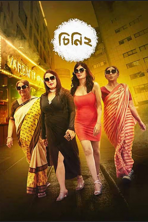 Cheeni 2 (2008) Bengali Hoichoi WEB-DL Full Movie 480p - 720p - 1080p poster