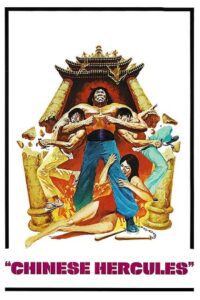 Chinese Hercules (1973) Multi Audio {Hindi-English-Chinese} BluRay 480p - 720p - 1080p poster