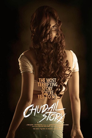 Chudail Story (2016) poster