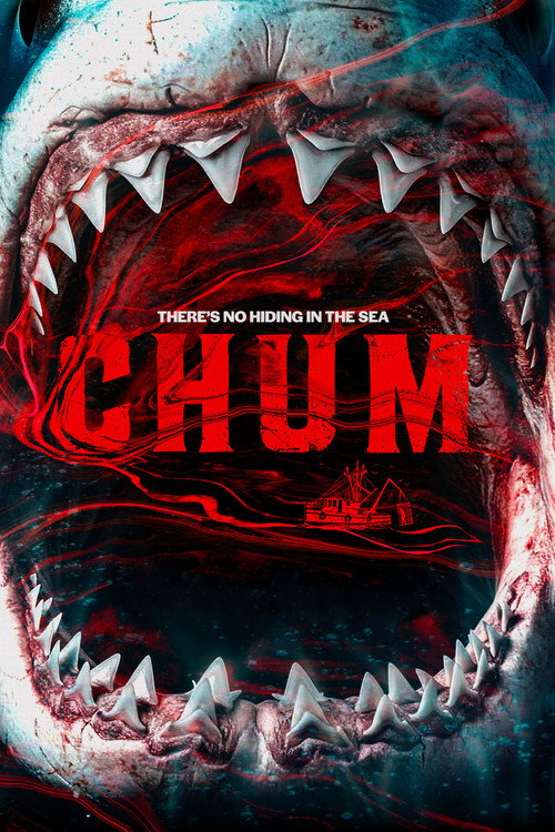 Chum (2026) BluRay Dual Audio {Hindi-English} 480p - 720p - 1080p poster