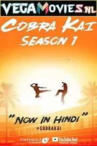 Cobra Kai – Netflix Original (2018) poster
