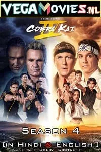 Cobra Kai – Netflix Original (2021) Season 4 Dual Audio {Hindi-English} 480p - 720p WEB-DL poster