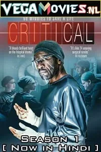 Critical (2015) Season 1 Complete [Hindi Dubbed] WEB Series 480p - 720p WEB-DL poster