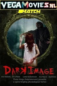 Dark Image (2017) Dual Audio {Hindi-English} 480p - 720p poster
