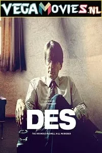 Des (2020) Season 1 Dual Audio {Hindi-English} 480p - 720p HDRip poster