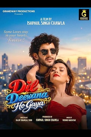 Dil Deewana Ho Gaya (2026) poster