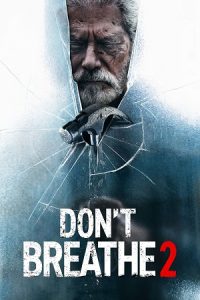 Don’t Breathe 2 (2021) poster