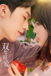 Double Love (Season 1) Dual Audio {Hindi-Chinese} C-Drama Series 480p 720p & 1080p WEB-DL poster