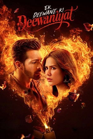 Ek Deewane Ki Deewaniyat (2025) poster