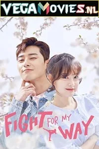 Fight For My Way (Season 1) Dual Audio {Hindi + Korean} Complete WEB Series 480p - 720p WEB-DL poster