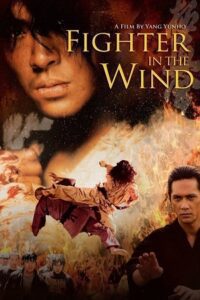 Fighter in the Wind (2004) BluRay Dual Audio {Hindi-Korean} 480p - 720p - 1080p poster