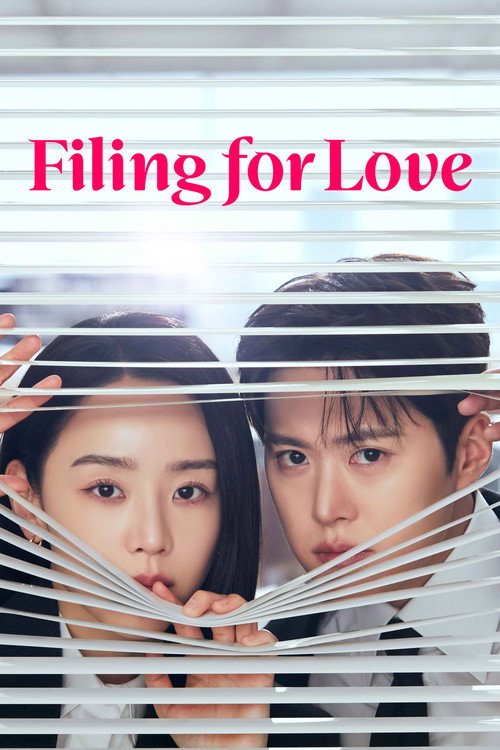Filing for Love (Season 1) Dual Audio {Hindi-Korean} K-Drama Series 480p 720p & 1080p WEB-DL poster