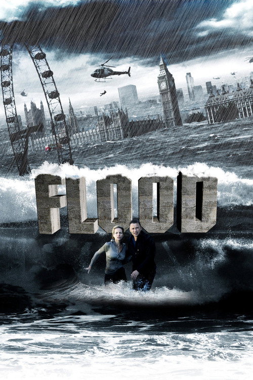 Flood (2007) Dual Audio {Hindi-English} BluRay 480p - 720p - 1080p poster