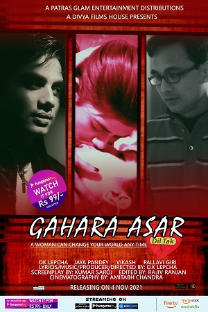 Gahara Asar Dil Tak (2021) Hindi Full Movie 480p - 720p poster