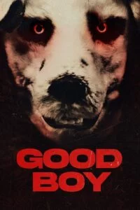 Good Boy (2022) Dual Audio [Hindi + Norwegian] BluRay 480p - 720p - 1080p poster