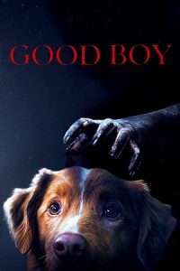 Good Boy (2025) WEB-DL {English With Subtitles} Full Movie 480p - 720p - 1080p poster