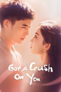 Got a Crush on You (Season 1) Hindi ORG Dubbed Series 480p 720p & 1080p WEB-DL poster