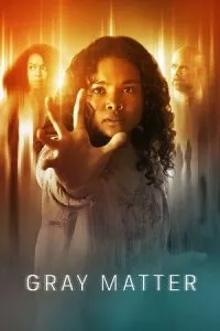 Gray Matter (2023) WEB-DL {English With Subtitles} Full Movie 480p - 720p - 1080p poster
