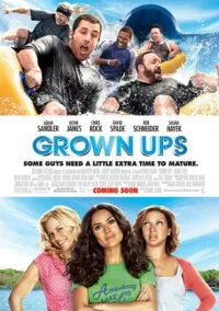 Grown Ups (2010) Dual Audio Hindi 480p - 720p poster