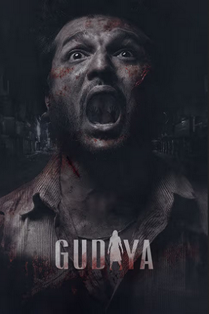 Gudiya (2023) Punjabi WEB-DL Full Movie 480p - 720p - 1080p poster