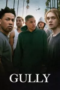 Gully (2019) Dual Audio [Hindi + English] WeB-DL 480p - 720p - 1080p poster