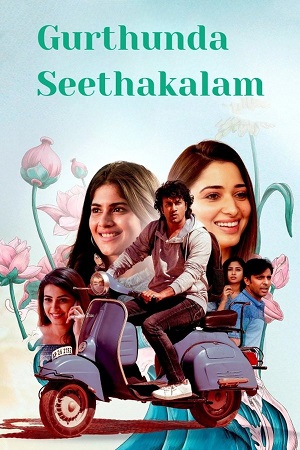 Gurthunda Seethakalam (2022) UNCUT [Hindi DD5.1 + Telugu DD2.0] 480p - 720p - 1080p WeB-DL poster