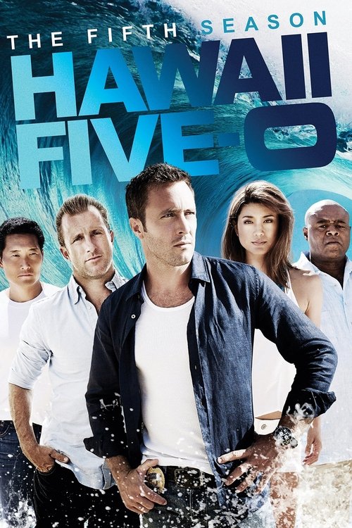 Hawaii Five-0 (Season 1 – 5) Netflix Series {Hindi-English} 480p 720p & 1080p WEB-DL poster